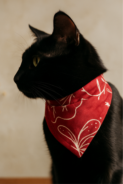 Ecofriendly Pet Collar Sets - Natural Cotton