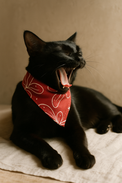 Ecofriendly Pet Collar Sets - Natural Cotton