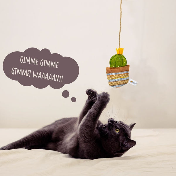 Catnip Cactus Toy Stick