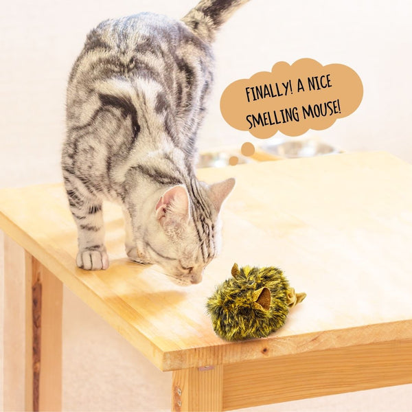 Pull String Motion Mouse with Catnip - Brown