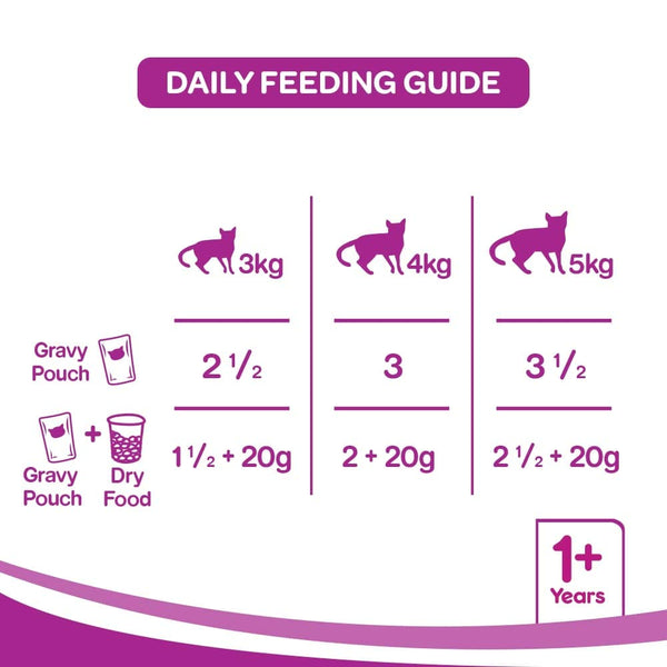 Whiskas Adult - Wet Meal Ocean Fish