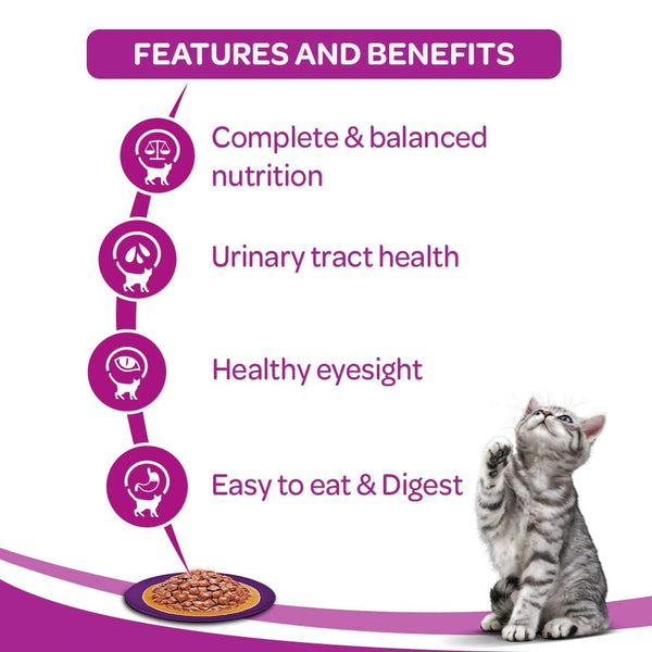 Whiskas Adult - Wet Meal Ocean Fish