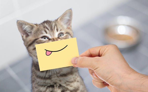 Whiskas Adult -  Mackerel (Dry).