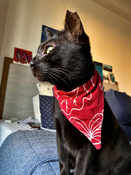Ecofriendly Pet Collar Sets - Natural Cotton