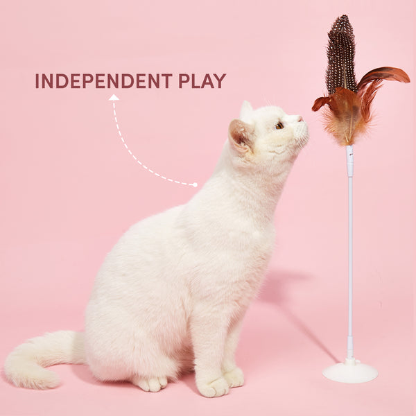 Stick Me Anywhere Toy