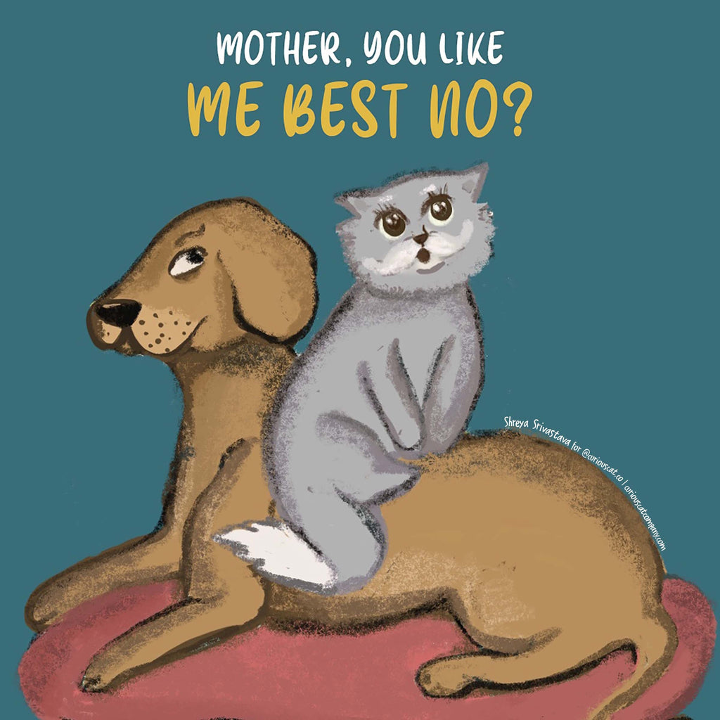 13 Reasons Why Cats Make the Best Pets