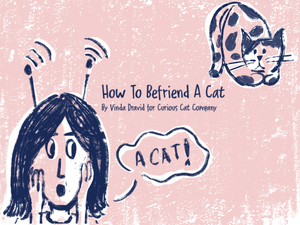 How To Befriend A Cat