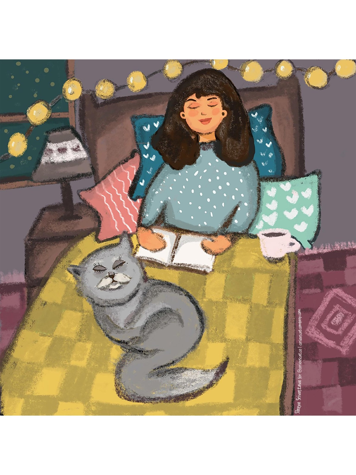 8 Things Every Cat Parent Needs - Curious Cat Company