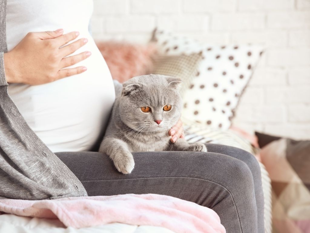 Pregnancy, Cats & Myths