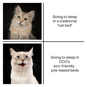 Cat Bed Dilemma: Does Your Cat's Bed Need a 'Purr-fessional' Intervention!
