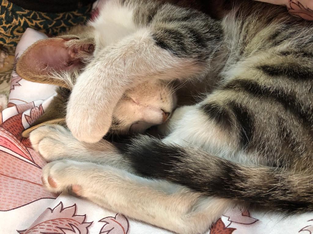 Con-cat-enating Love