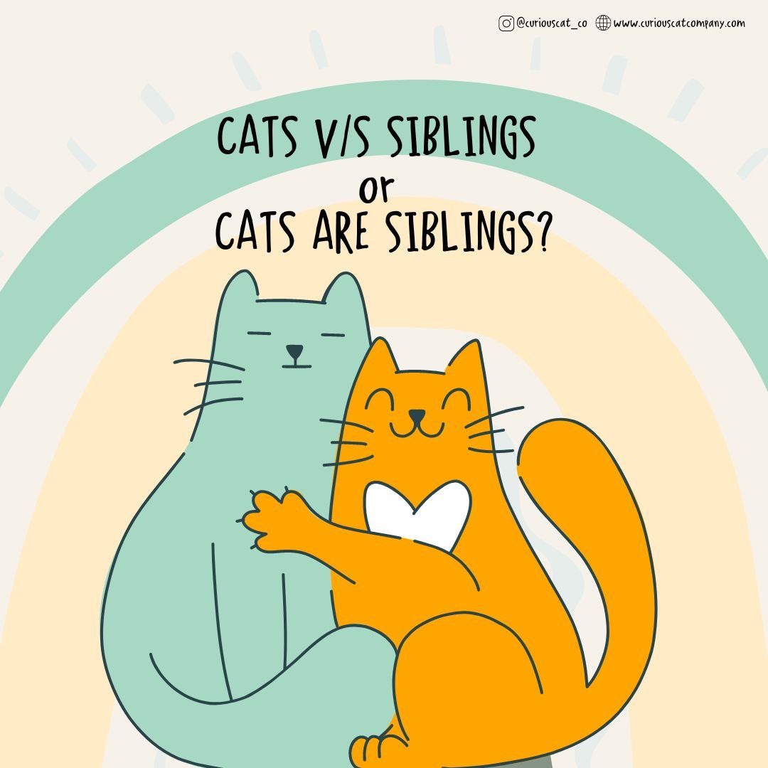 The Comfort of Furry Companionship and Raksha Bandhan: A Tail of Love and Pawsitivity - Curious Cat Company