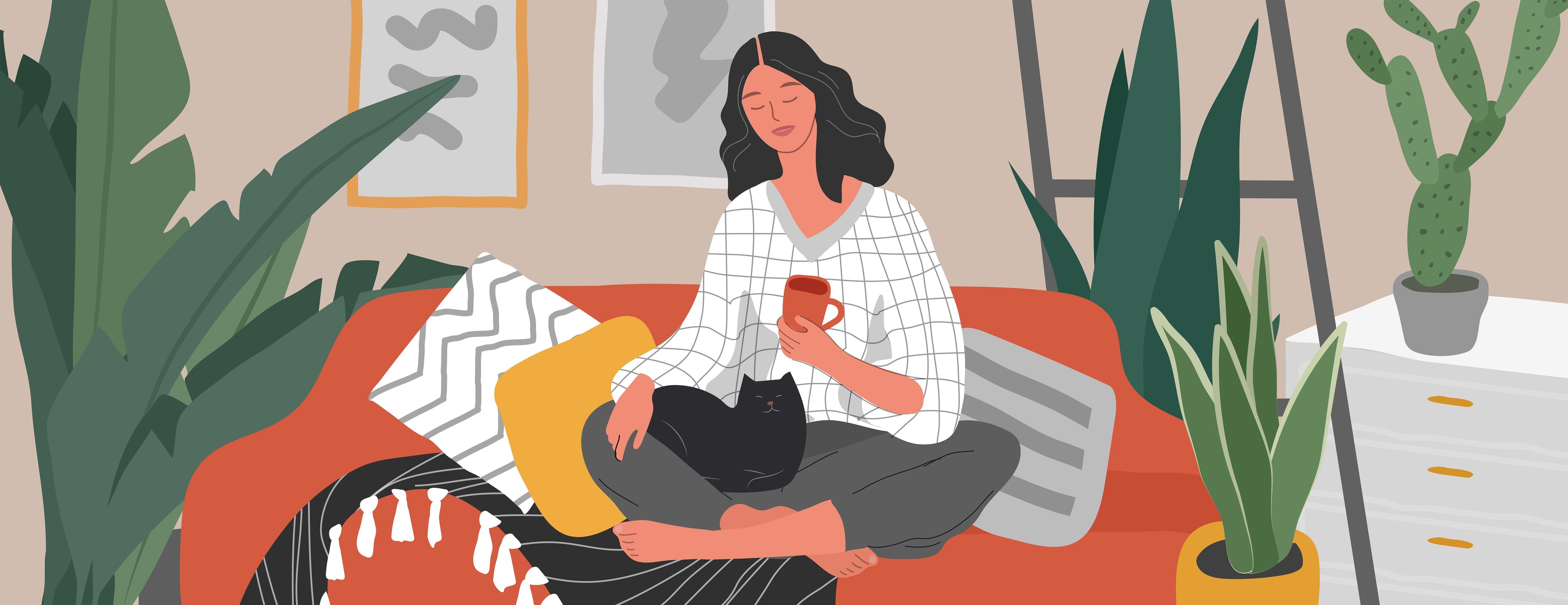 What are Some Cat Friendly Indoor Plants? - Curious Cat Company