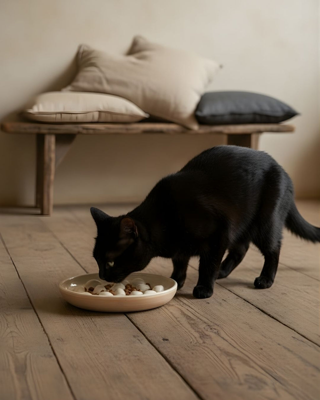 Handmade Ceramic Slow Feeder Bowl - Anti Whisker Fatigue