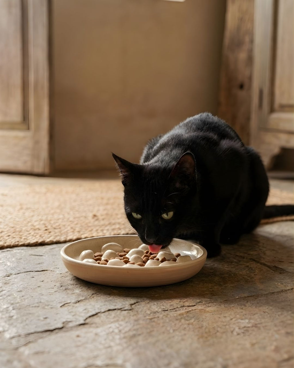 Handmade Ceramic Slow Feeder Bowl - Anti Whisker Fatigue