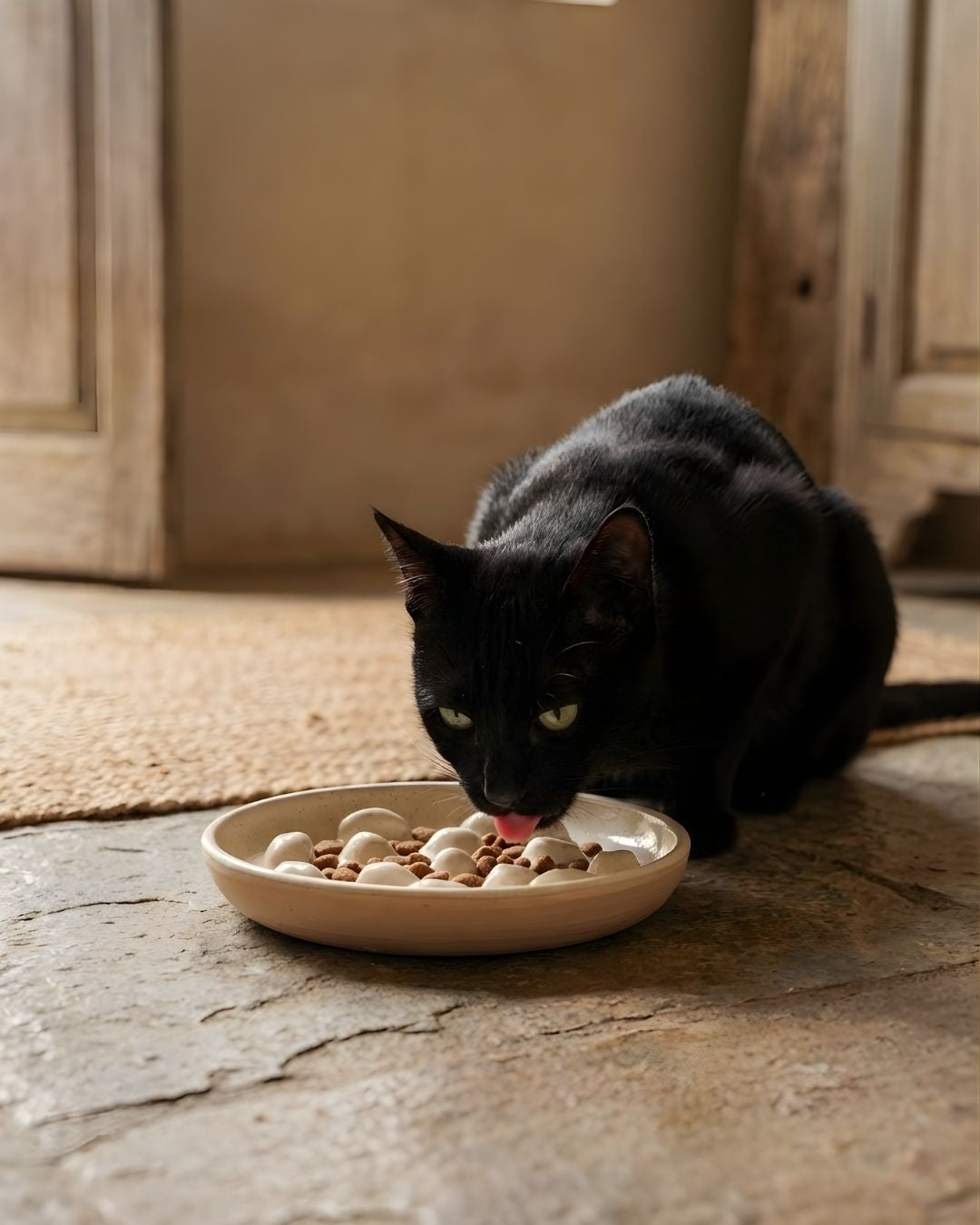Handmade Ceramic Slow Feeder Bowl - Anti Whisker Fatigue