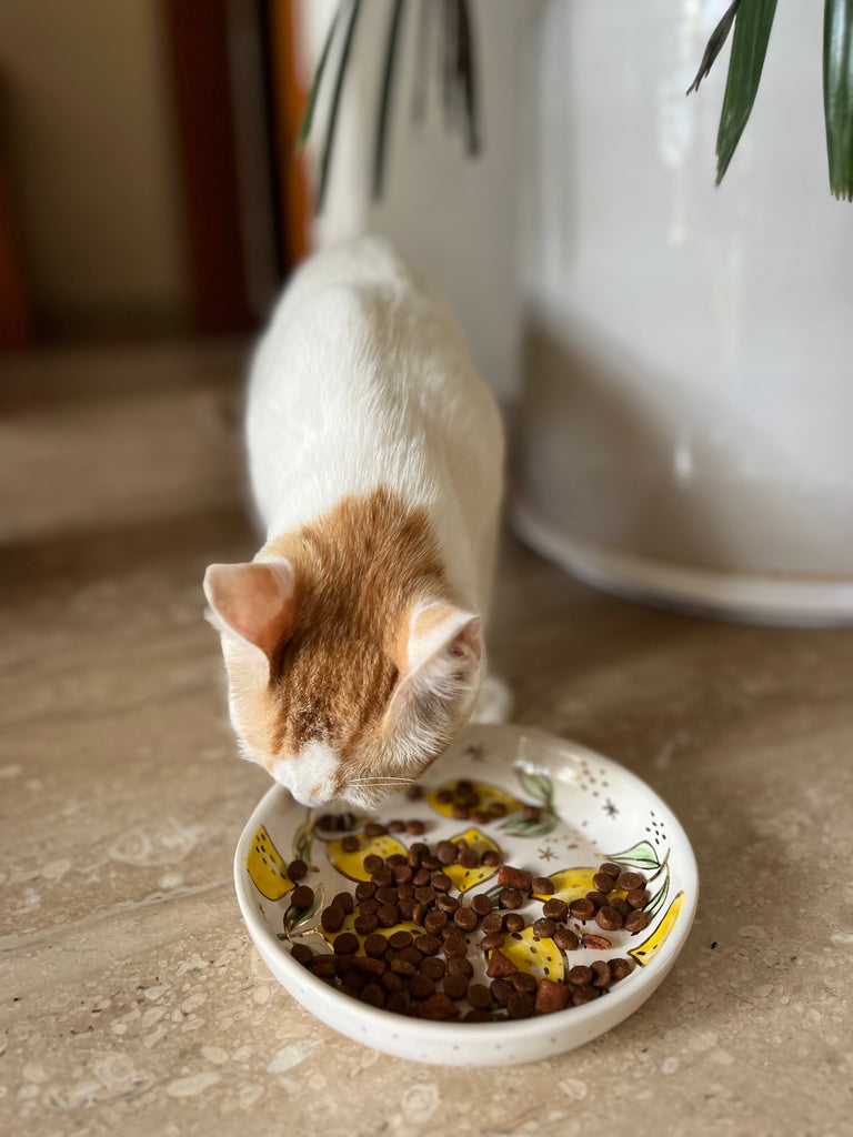 Anti whisker fatigue bowl deals