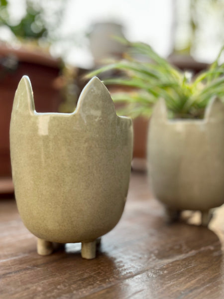 Minimalist Ceramic Planter