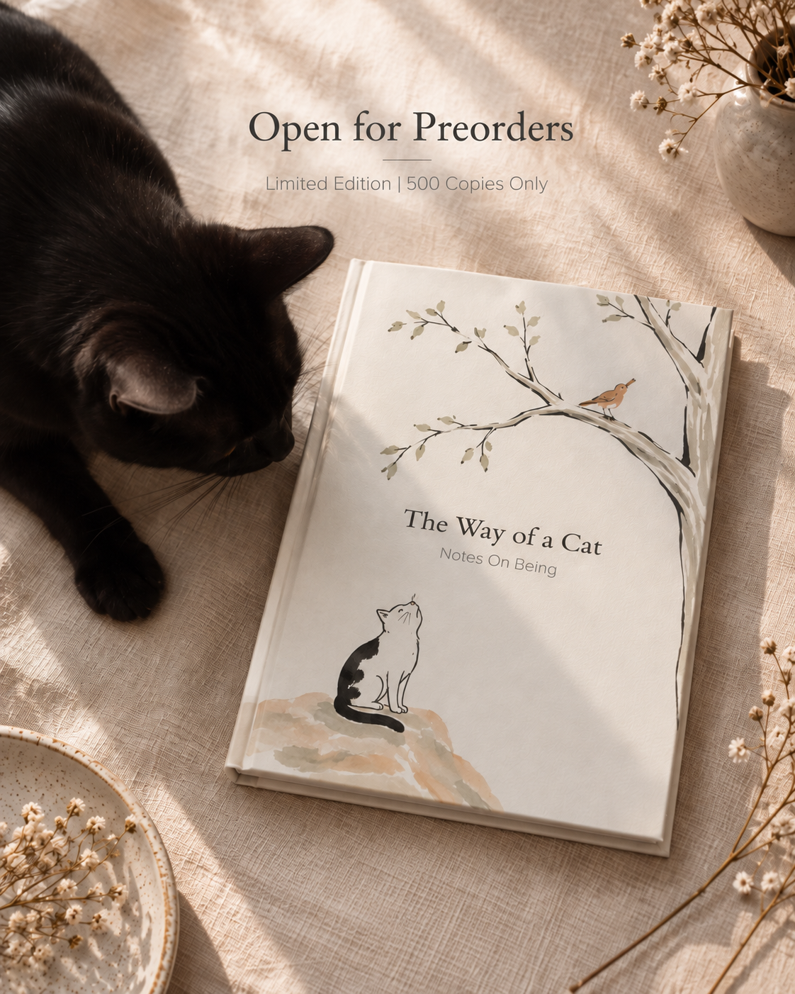 The Way of a Cat: Notes on Being