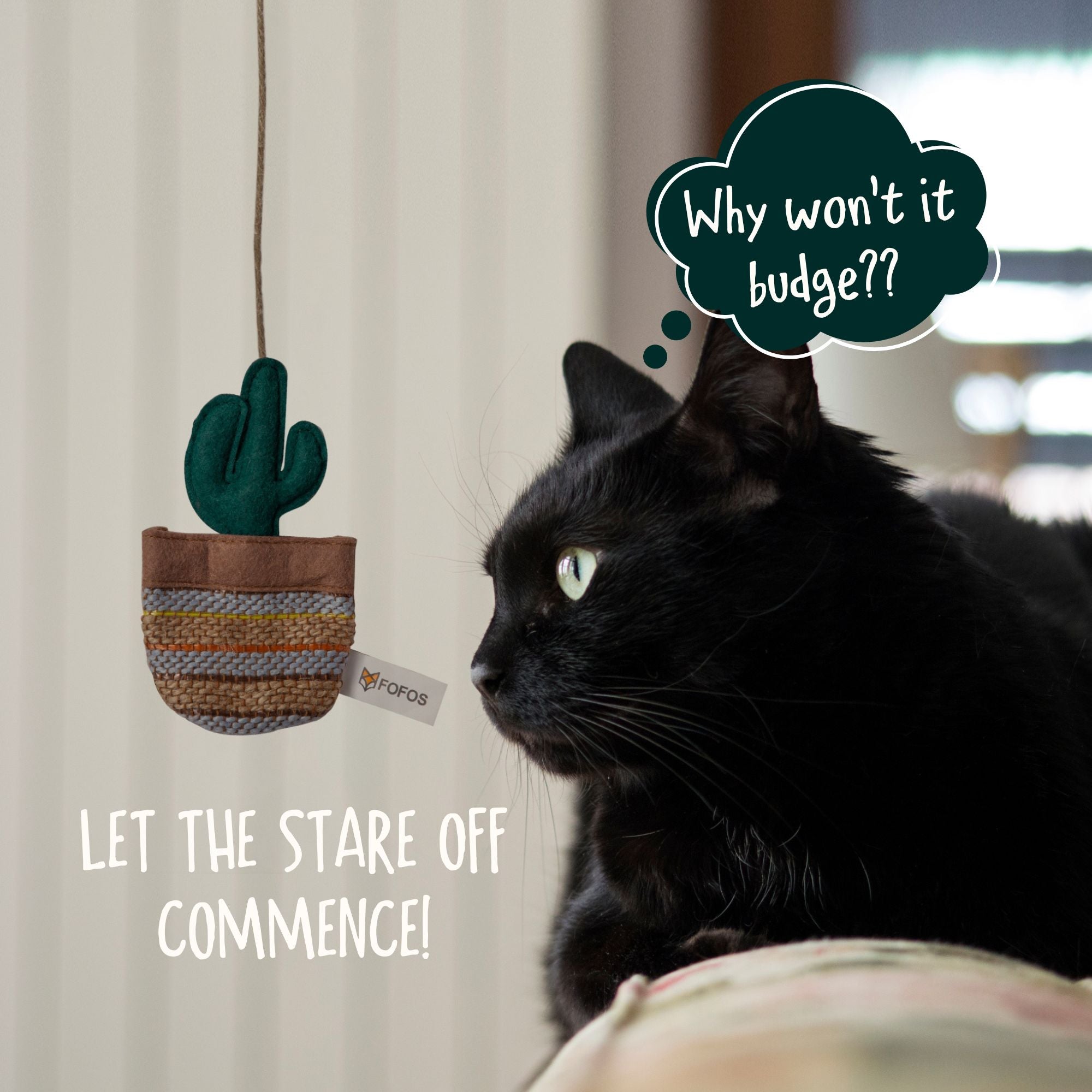 Cactus Wand Toy - Austin - Curious Cat Company - Cat Toys