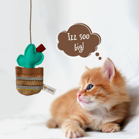 Cactus Wand Toy - Phoenix - Curious Cat Company - Cat Toys