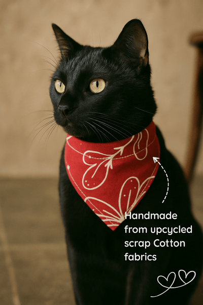 Ecofriendly Pet Collar Sets - Natural Cotton - Curious Cat Company - Cat Supplies