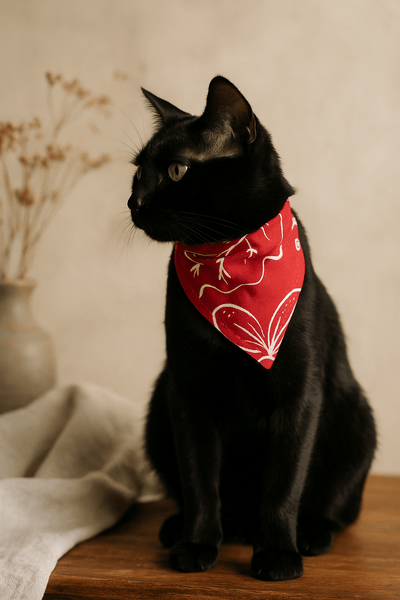 Ecofriendly Pet Collar Sets - Natural Cotton - Curious Cat Company - Cat Supplies