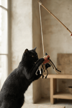 Hand - knitted Bird Wand Toy - Cats for Conservation - Curious Cat Company - Cat Toys