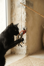 Hand - knitted Bird Wand Toy - Cats for Conservation - Curious Cat Company - Cat Toys