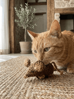 Handwoven Jute Rat Toy with Treat Pocket - Cats for Conservation - Curious Cat Company - Cat Toys