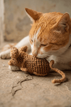Handwoven Jute Rat Toy with Treat Pocket - Cats for Conservation - Curious Cat Company - Cat Toys