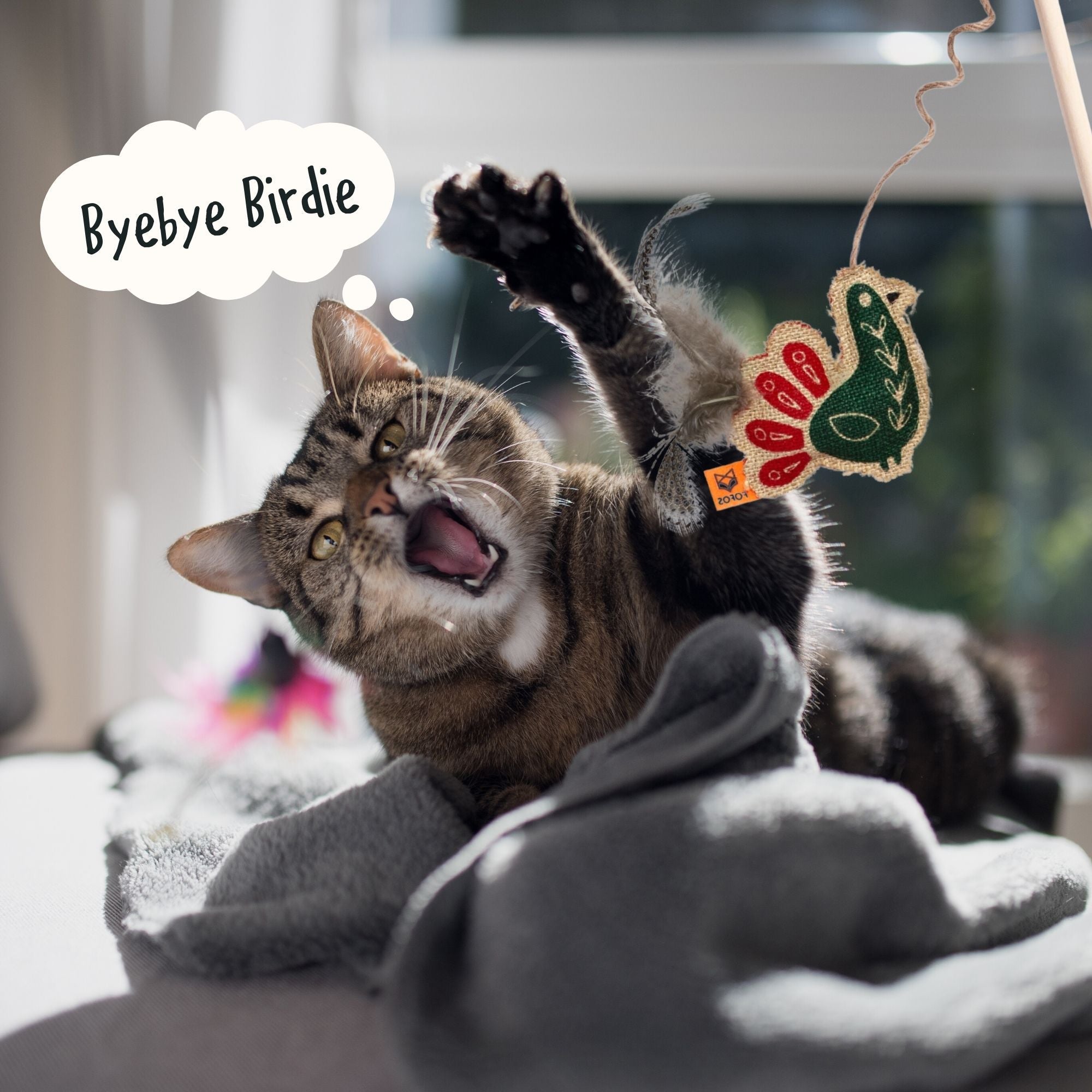 Scandi Peacock Wand Toy - Curious Cat Company - Cat Toys