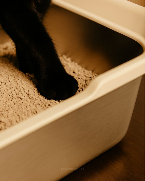 Sustainable Metal Litter Tray - Curious Cat Company - Litter Tray