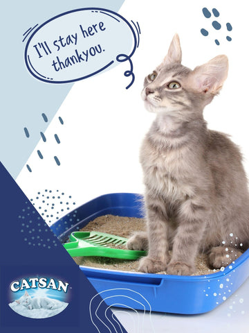 Catsan Hygiene Plus by Whiskas Natural Cat Litter 5L