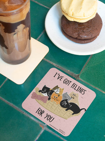 Felines For You Coaster