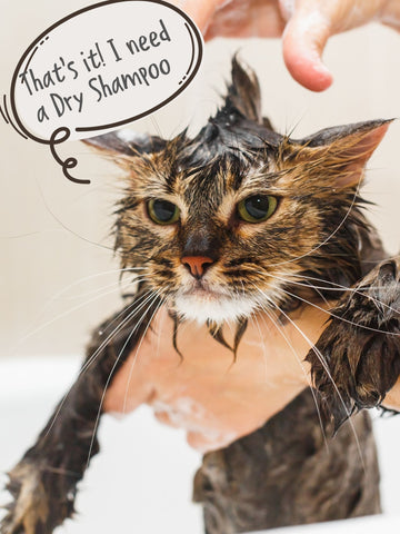 Mama Meow Waterless Shampoo