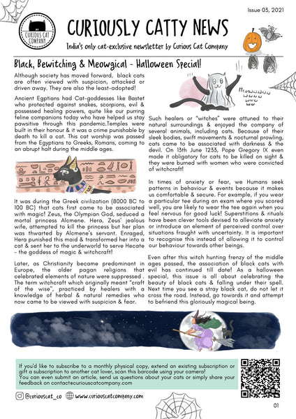 Curiously Catty News - Digital Monthly Paper