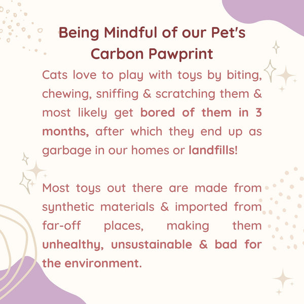 Birdy Hunting Toy with Catnip - 100% Biodegradable - Curious Cat Company - Cat Toys