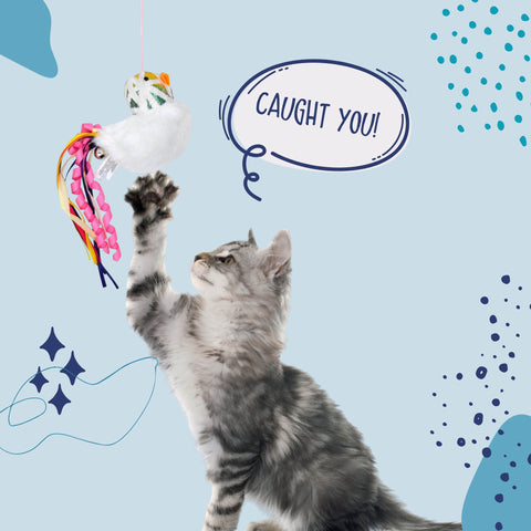 Blocky Meow Bird Wand - Curious Cat Company - Cat Toys