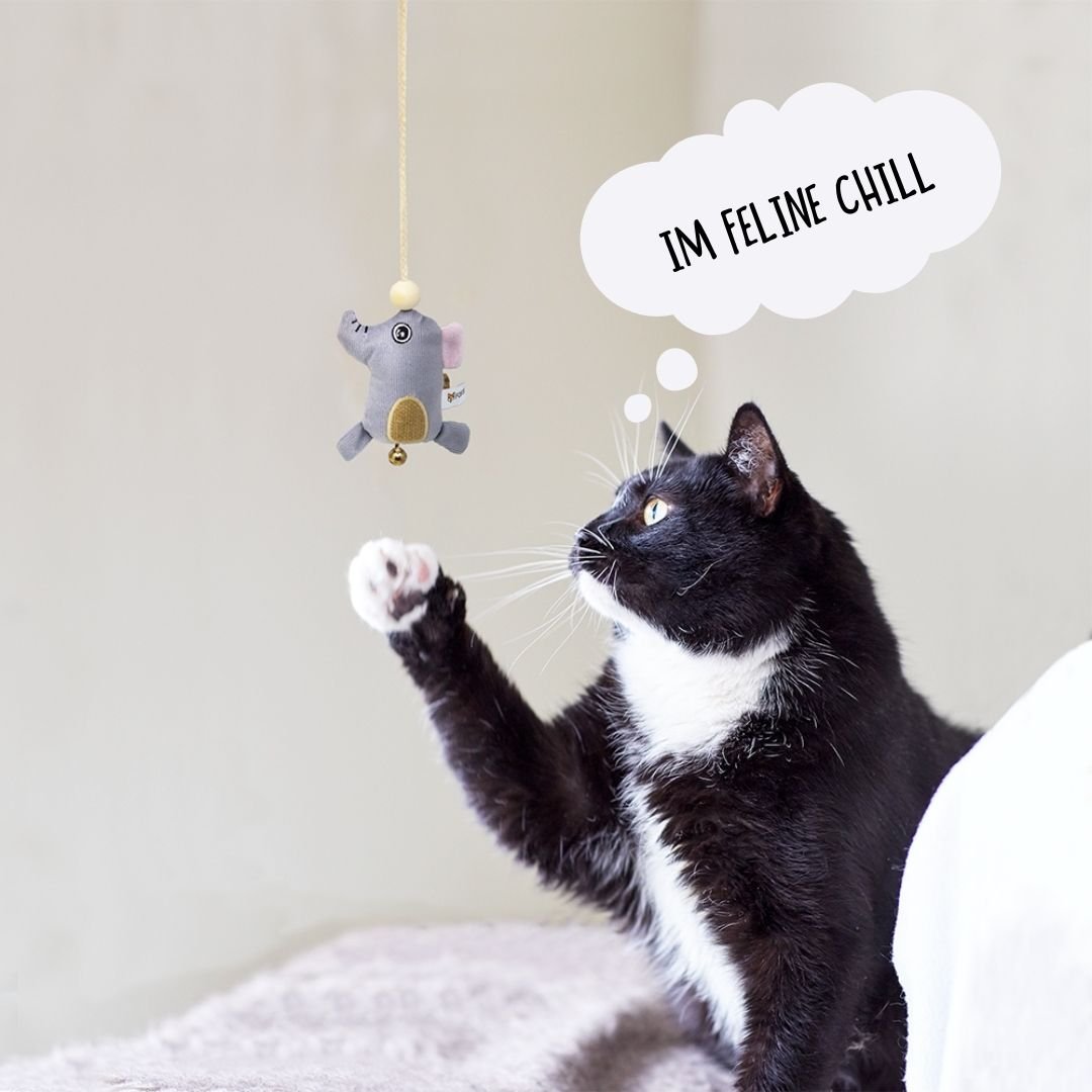 Catnip Elephant Toy Stick - Curious Cat Company - Cat Toys