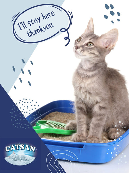 Catsan Hygiene Plus by Whiskas Natural Cat Litter 5L - Curious Cat Company - Cat Litter