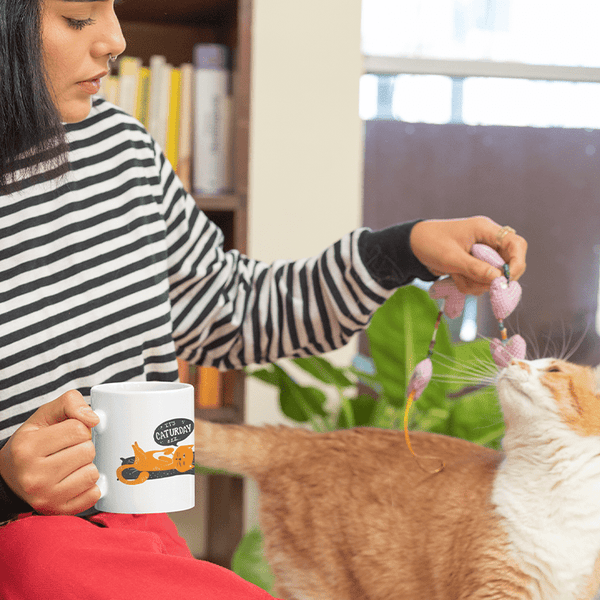 Caturday Mug - Curious Cat Company - Mugs