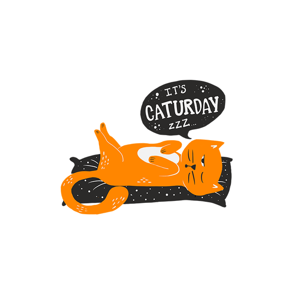 Caturday Mug - Curious Cat Company - Mugs