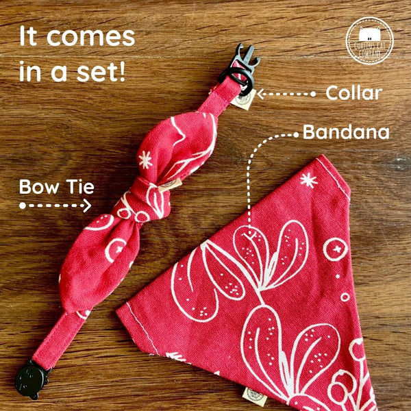 Ecofriendly Pet Collar Sets - Natural Cotton - Curious Cat Company - Cat Supplies