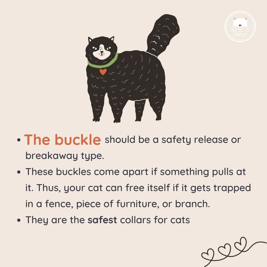 Ecofriendly Pet Collar Sets - Natural Cotton - Curious Cat Company - Cat Supplies