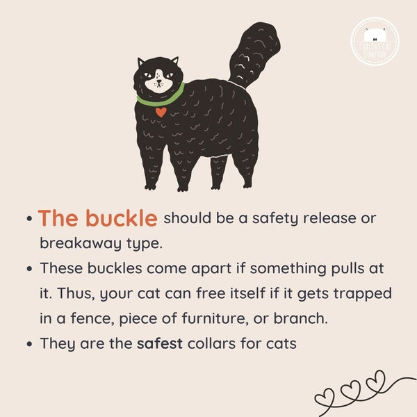 Ecofriendly Pet Collar Sets - Natural Cotton - Curious Cat Company - Cat Supplies