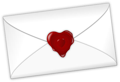 Gift Message - Curious Cat Company - Gift Message