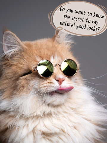 Mama Meow Detangling Serum - Curious Cat Company - Grooming Products