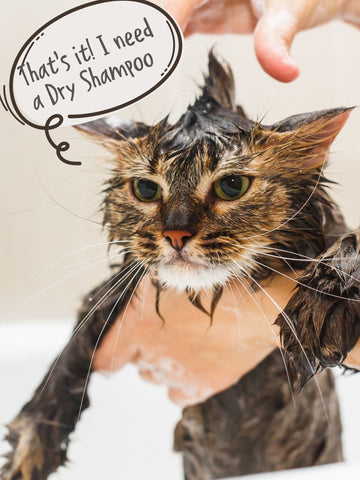 Mama Meow Waterless Shampoo - Curious Cat Company - Grooming Products