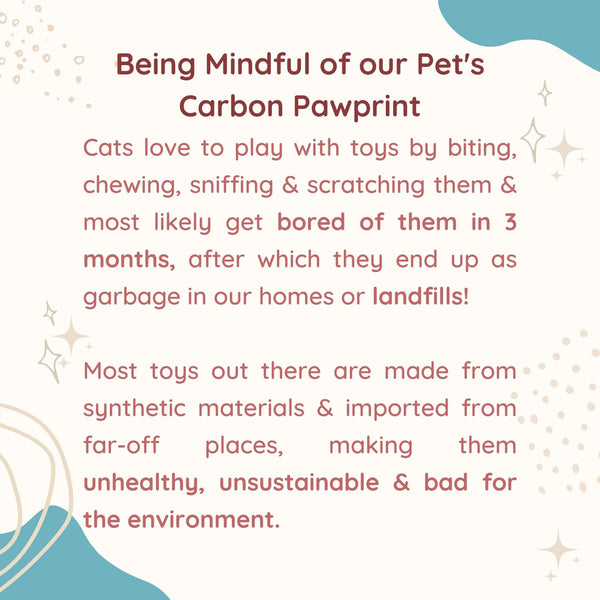 Mouse Hunting Toy with Catnip - 100% Biodegradable - Curious Cat Company - Cat Toys